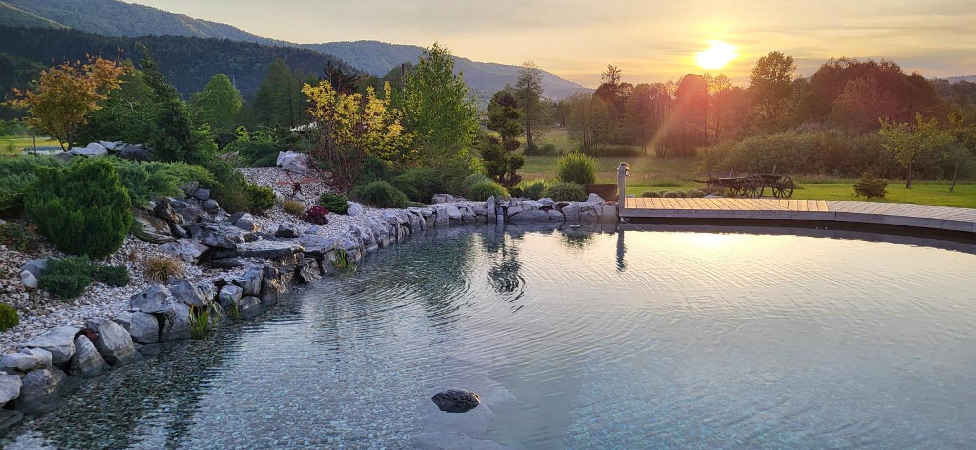Glamping Happiness With Natural Pool Ribnica Eksteriør bilde